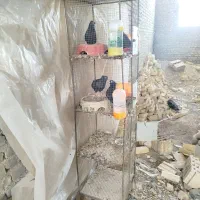 قفس جفت دونی.بافق
