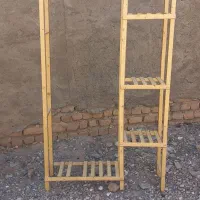 استند گلدون