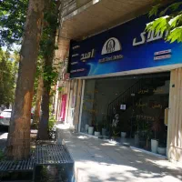 سئو کار
