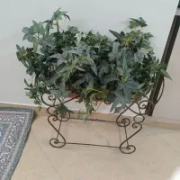 یه گلدان فرفوژه خارجی خیلی تمیز