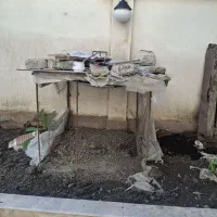 یک عدد قفس