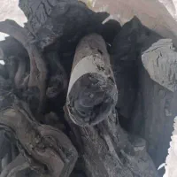 فروش ذغال  کبابی بصورت عمده