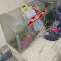 دو عدد اکواریوم سالم معاوضه|ماهی|سوسنگرد, |دیوار