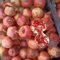 انار یکجا فقط کیلو 30 تومن انار یکجا