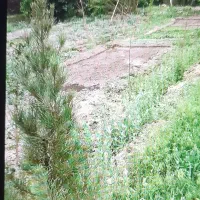 باغ دور دیوار /حاشیه بزرگراه اعظم /امتیازات کامل