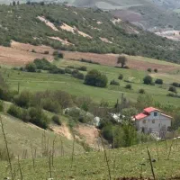 ۱۷۳۰۰ متر زمین باغی دیلمان تهاتربا خانه و خودرو|فروش زمین و ملک کلنگی|تهران, حبیب الله|دیوار