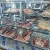 یخچال فروشگاهی، قصابی ، شیرینی فروشی|فروشگاه و مغازه|لنجان, |دیوار