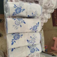 سفره یک بار مصرف|مواد شوینده و دستمال کاغذی|بهارستان, |دیوار