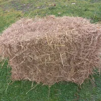 کاه کلوش ۱۰۰عدد