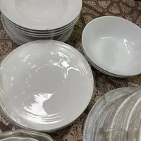 دیس پلو خوری مخصوص رستوران و کافه