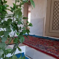 سوییت استجاری (خانه مسافر)