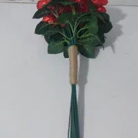 گل روبانی
