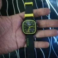 کاسیو اصل