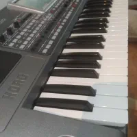 کرگ 900 حد آک خونگی|پیانو، کیبورد، آکاردئون|ارطه, |دیوار