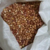 سنجد|خوردنی و آشامیدنی|دلیجان, |دیوار