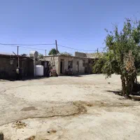 گاوداری صنعتی و زمین روبرو دارای طرح هادی|فروش دفتر صنعتی، کشاورزی، تجاری|شیراز, علی آباد|دیوار