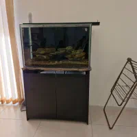 اکواریوم بزرگ و سامپ دست ساز