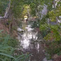 اجاره باغ ویلا تفریح .تولد،سالگردازدواج محمود آباد|اجارهٔ کوتاهمدت ویلا و باغ|ساوه, |دیوار