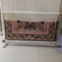 دارقالی نیمه بافت