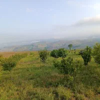 3070-متر-زمین-باغی