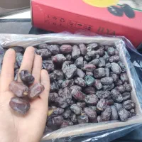 ۴تن خرما کلوته جیرفت درجه یک صادراتی|خوردنی و آشامیدنی|جیرفت, |دیوار