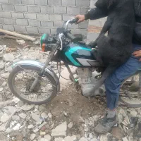 سگ دنبلانی|سگ|مینودشت, |دیوار