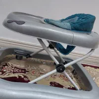 روروک سالم|موکت|گناباد, |دیوار