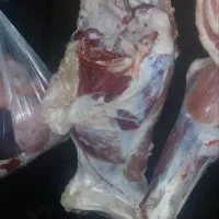 جگر گوساله