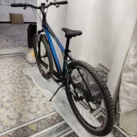 دوچرخه مارک ویوا