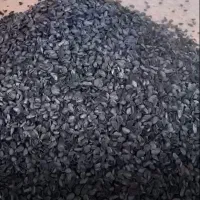 کربن پسته|خدمات باغبانی و درختکاری|بیرجند, |دیوار