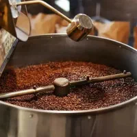 فروش قهوه عمده(رستری)