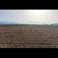 زمین کشاورزی