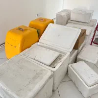 کلمن یونولیت