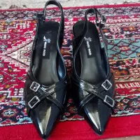 کفش مجلسی