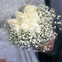 پکیج عروس رایگان