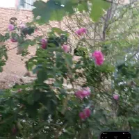 منزل مسکونی قدیمی