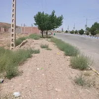 اکیپ برای موزاییک