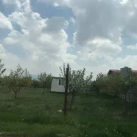 اسپیران پردیسان
