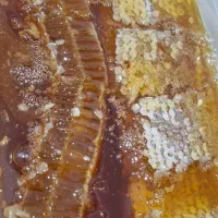 عسل درمانی ممتاز