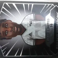 کارت سیلور لیمیتد فریمپونگ