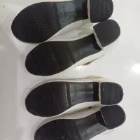 کفش دوقلو|کیف، کفش، کمربند|تالش, هشتپر|دیوار