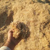 کاه|لوازم جانبی حیوانات|پیشخور, |دیوار