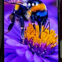 گوشی سامسونگ s21 FE 5g