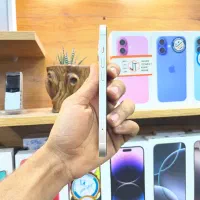 Iphone 13|موبایل|اصفهان, باغ زرشک|دیوار