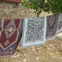 قالیچه نمدی|گلیم، جاجیم، گبه|ساری, |دیوار