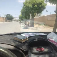 باغ انگور فروشی