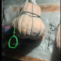 کدوحلوایی شب چله ای