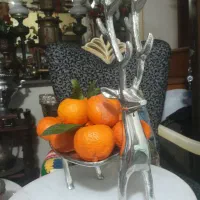 ظرف بزرگ وارداتی مدل آهو جنس آلومینیوم سنگین وزن|ظروف سرو و پذیرایی|ساری, |دیوار