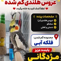 عروس هلندی گمشده