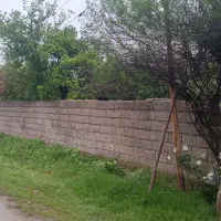 250متر باغ مرکبات /مسکونی با پروانه/لوکیشن زیبا